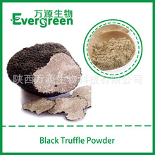 黑松露粉 黑松露 black truffle powder