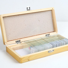 50种生物切片组合套装 厂家定制中小学显微玻片生物显微玻片