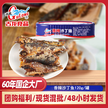 古龙香辣沙丁鱼罐头即食海鲜鱼肉罐头辣味鱼干速食品120g现货批发