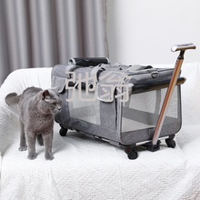 p飞新款猫包外出便携宠物拉杆箱可折叠拆卸万向轮透气透光猫咪外