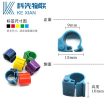 厂家直销家禽类 动物脚环鸡脚环鸽子脚环溯源 RFID低频电子标签