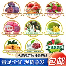 水果标签提子通用不干胶贴火龙果冬枣商标新鲜果切西梅果贴千禧m
