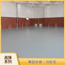 5.0舞蹈地胶街舞民族舞瑜伽舞蹈培训舞蹈教室pvc舞蹈地板弹性耐磨