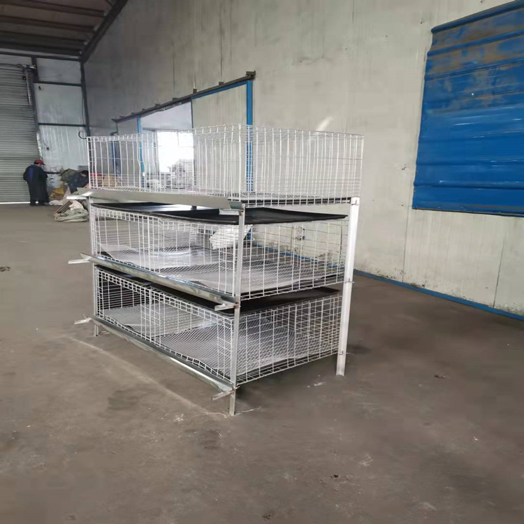 三层立式养殖肉鸡笼全自动养鸡设备养殖笼肉鸡笼大公鸡笼土鸡鸡笼