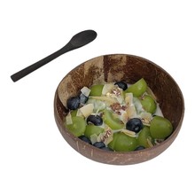 韩式博主同款椰子壳酸奶麦片碗水果碗餐厅家用沙拉碗甜品木碗