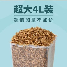 面包虫干品仓鼠零食黄粉虫鹦鹉鸟龟粮食金丝熊饲料刺猬黄粉虫用品