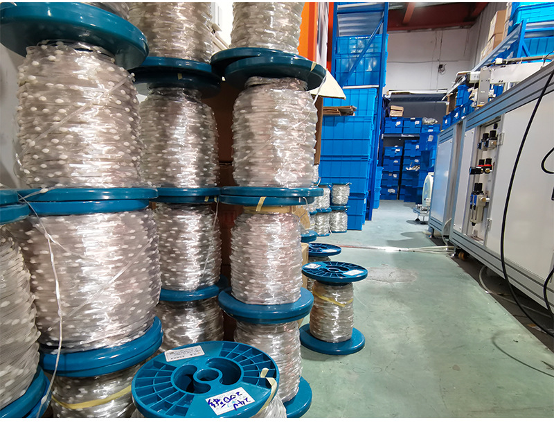 定制遥控皮线灯 抗打结拉扯圣诞婚礼室内外装饰彩灯 led线皮灯