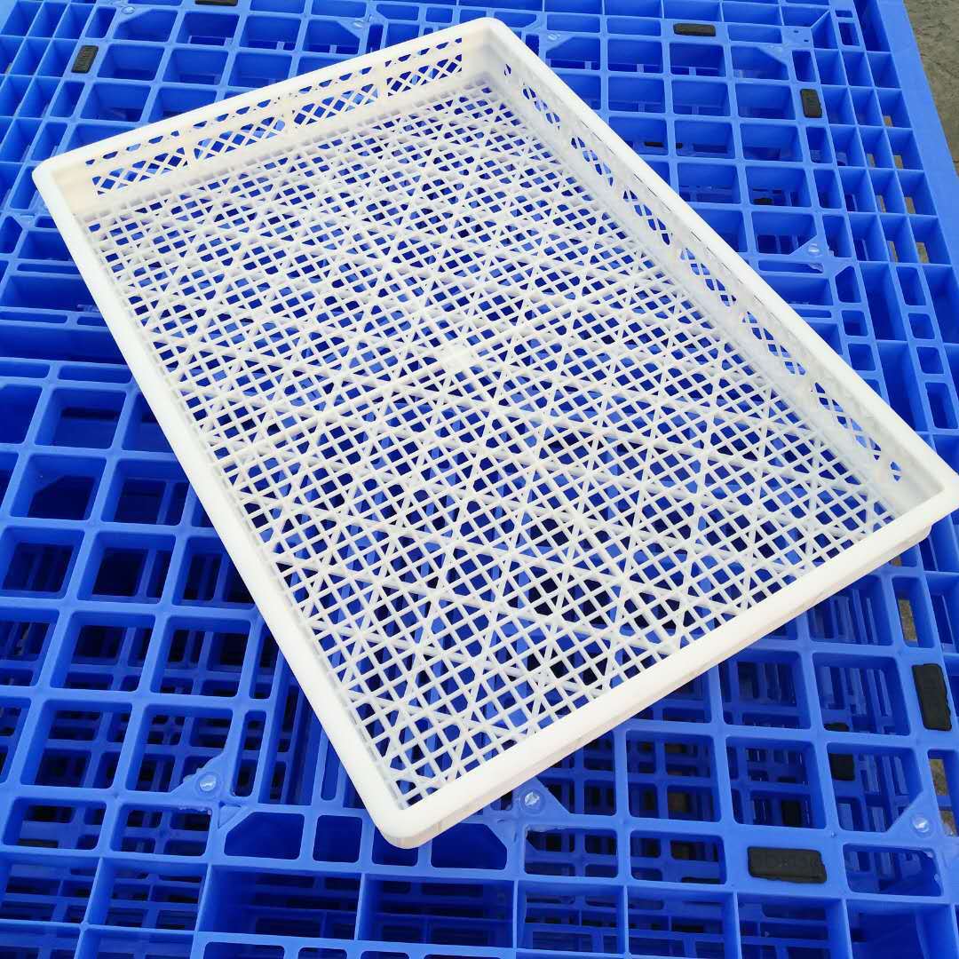 烘干晾晒盘食品级冷冻筐塑料单冻器烘干盘1号烤盘中草药晒筛