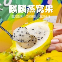 广东燕窝果麒麟果新鲜高端水果火龙果热带包邮基地直供原产一件发