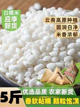 23新米白糯米5斤 新鲜圆糯米白江米农家白粘大米包粽子糍粑酿酒米