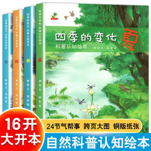 四季的变化科普认知绘本全4册春夏秋冬 二十四节气 启蒙认知绘本