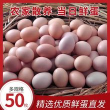 50枚土鸡蛋散养农村笨鸡蛋当日鲜蛋鸡蛋20枚新鲜整箱批发