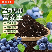蓝莓专用土盆栽蓝莓树营养土瓜通用肥料种植土有机土氮磷钾天然