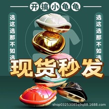 抖音同款好运龟占卦龟卜趣味解压玩具金钱龟桌面创意摆件包钥匙扣