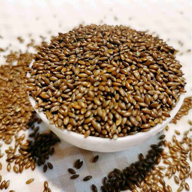 【粥师傅】沙漠黑金谷袋装500g真空包装五谷杂粮优选新疆黑小米