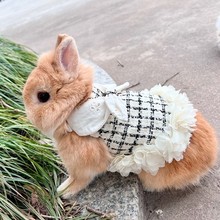 兔子小香风衣服牵引绳兔兔荷兰猪猫咪保暖胸背带垂耳兔侏儒兔