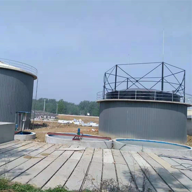 300方湿式双膜储气柜 橡胶膜一体式气柜 独立式沼气储气柜-阿里巴巴