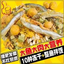 冻干猫粮幼猫成猫粮增肥发腮不掉毛美英短家猫流浪猫鳕鱼鸡肉通用