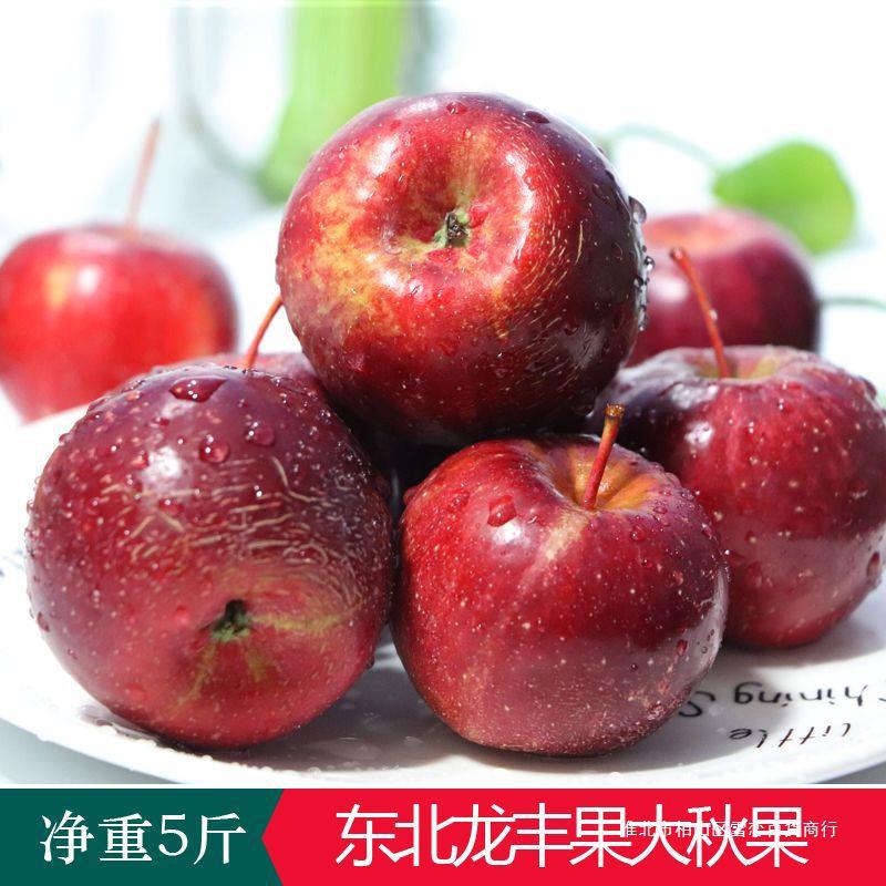 东北龙丰果大秋果新鲜当季水果海棠果沙果酸甜特产小苹果整箱5斤