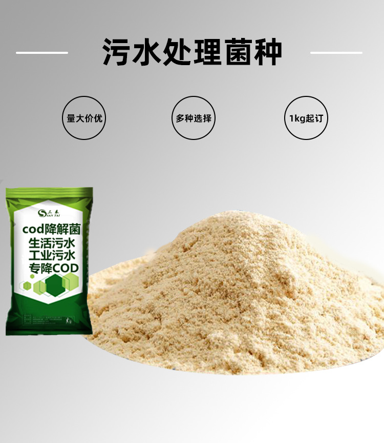 污水处理菌种培养微生物菌剂好氧池厌氧池河道治理生物菌种