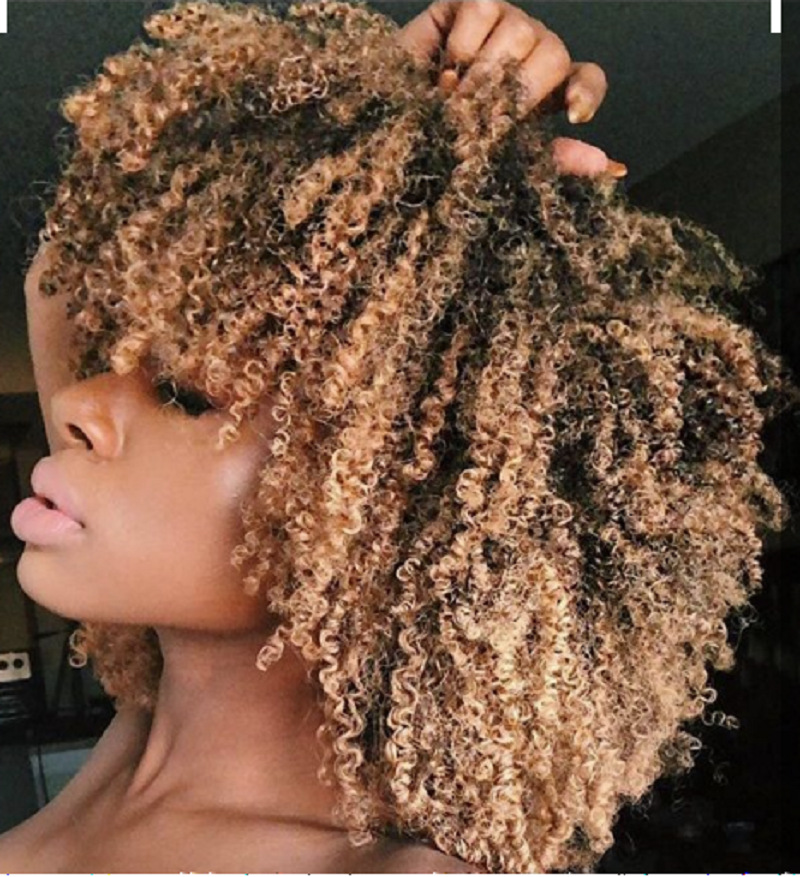 外贸女士假发 非洲跨境爆炸弹簧小卷短卷发渐变wig高温丝化纤头套