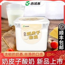 新品上市新疆西域春奶皮子酸奶1000克桶装酸奶营养代餐水果捞酸奶
