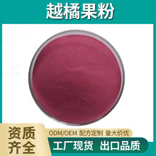 越橘粉 99% 水溶性越橘果粉 越橘汁粉 代餐粉固体饮料果蔬粉 包邮