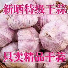 大蒜头批发河杞县新晒干干农家蒜干蒜手选紫红白皮2-10斤一件批发