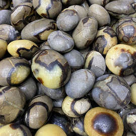 天然龟背石球 随形原石风水摆件手把玩化石矿石鱼缸造景矿物标本