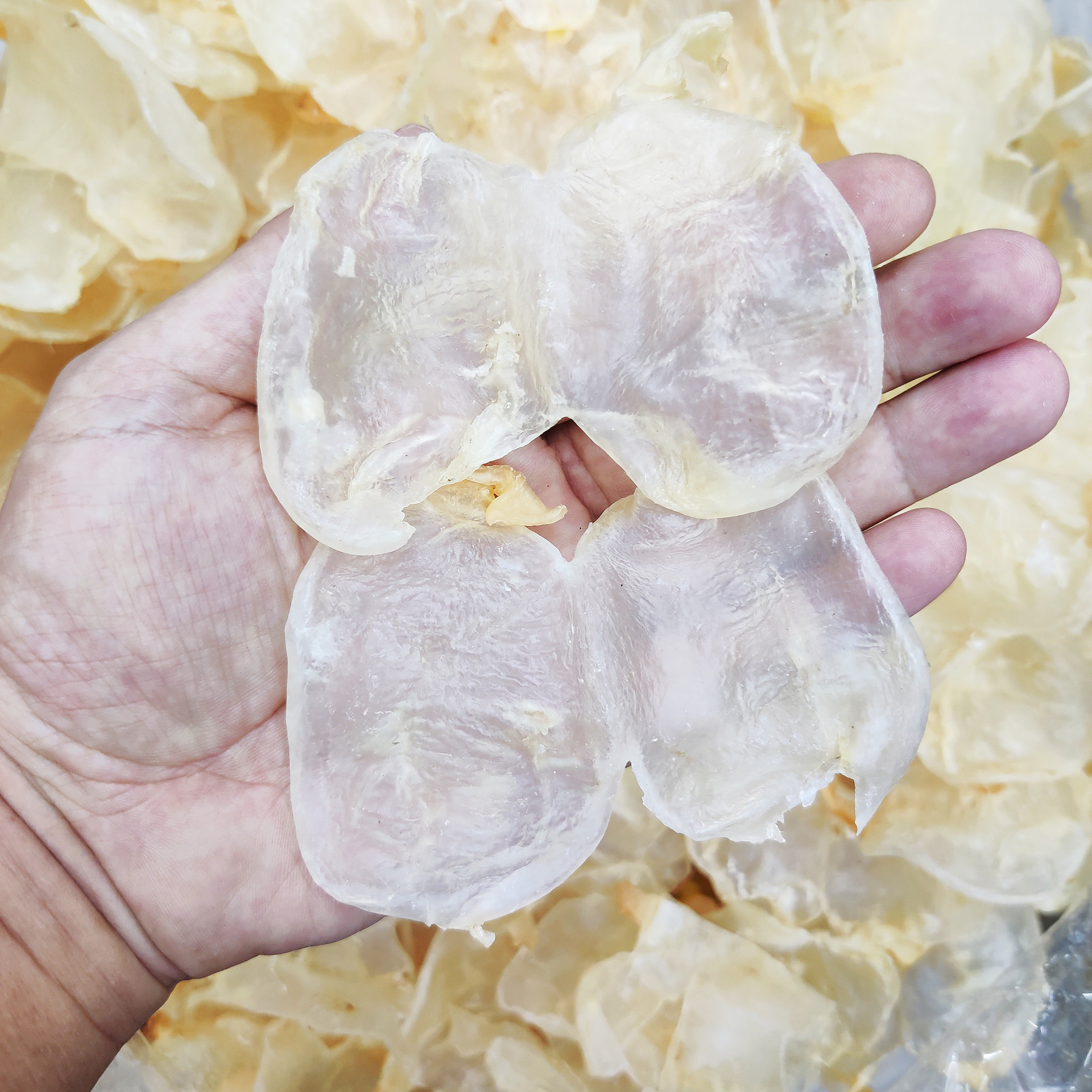 头左右/斤,22头左右/斤,65头左右/斤计价单位斤食用方式烹调不适宜人