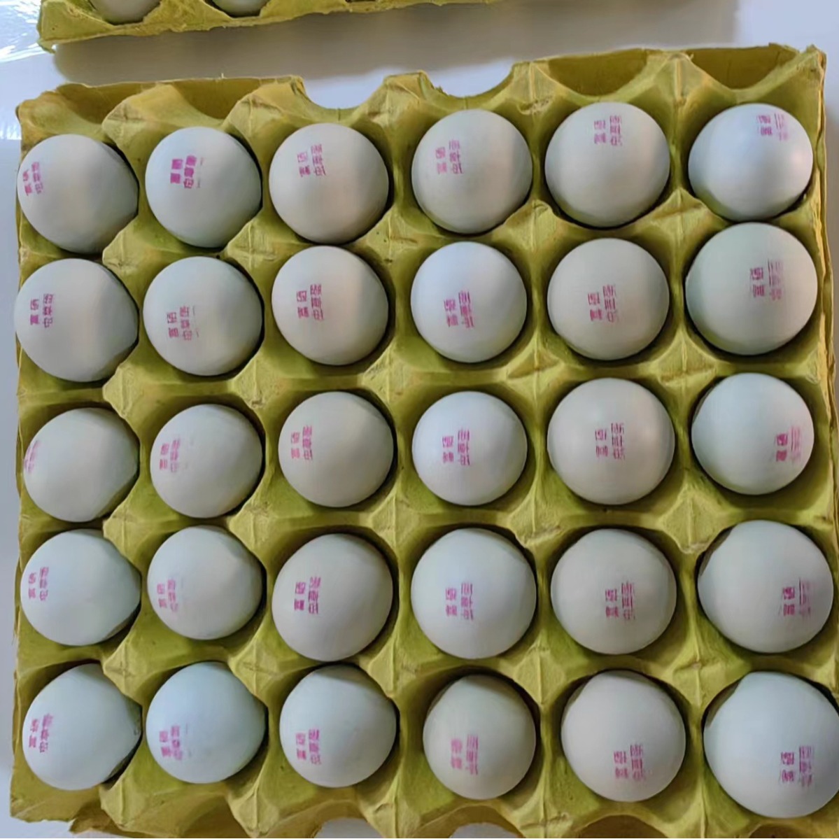 富硒虫草绿壳蛋/精品包装360枚/箱 毛重34-38斤