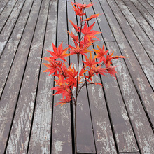 单支仿真枫叶塑料过胶假树枝红枫长枝插花装饰叶花卉植物假枫树枝