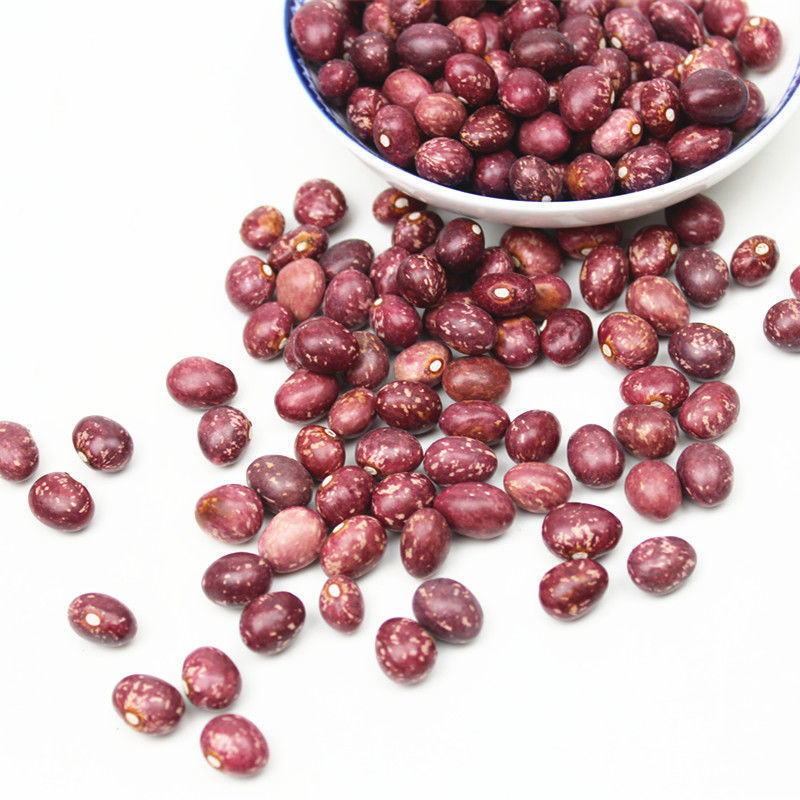 云南金丝豆5斤 农家自产红花豆孔雀豆芙蓉豆雀蛋豆芸豆红饭豆1斤