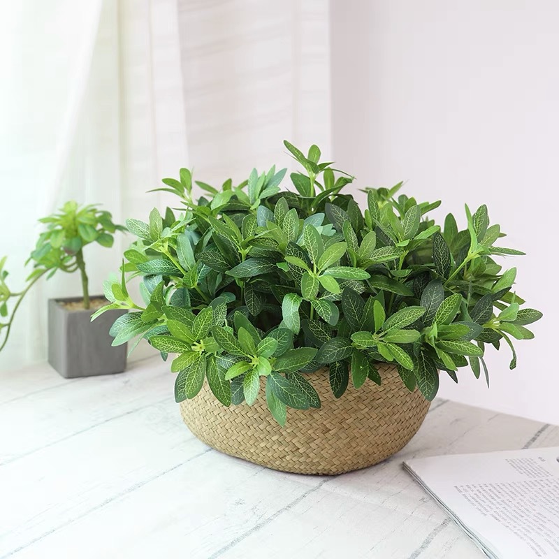 罗汉草厂家直销仿真水草把花 罗汉草把塑料假绢花 居家装饰仿真花