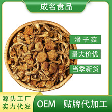 【源头工厂直销】优选滑子菇新货黄金菇300g食用菌干货滑子菇代发