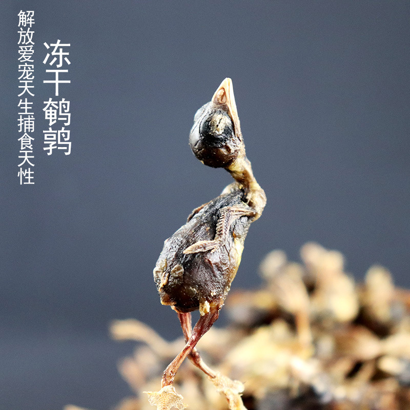 冻干鹌鹑宠物零食 无毛鹌鹑厂家批发一件代发500g净重 冻干猫零食