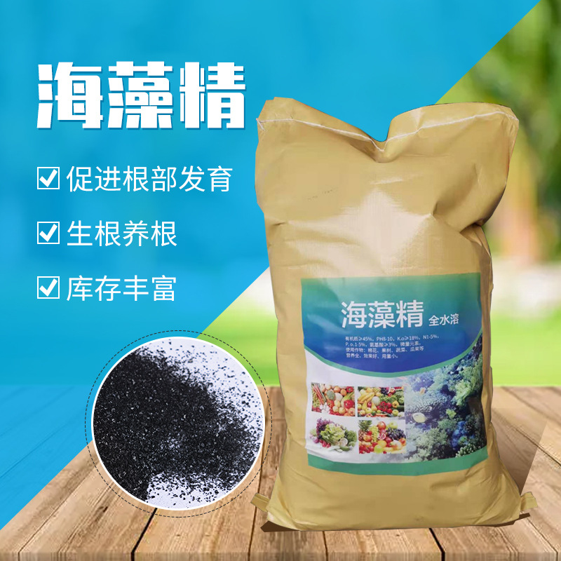 现货供应全水溶生根养根海藻素 生物酶解有机叶面肥海藻精