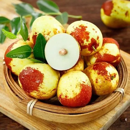 枣树活苗南方北方种植枣树嫁接苗特大冬枣苗树当年结果盆地栽果苗