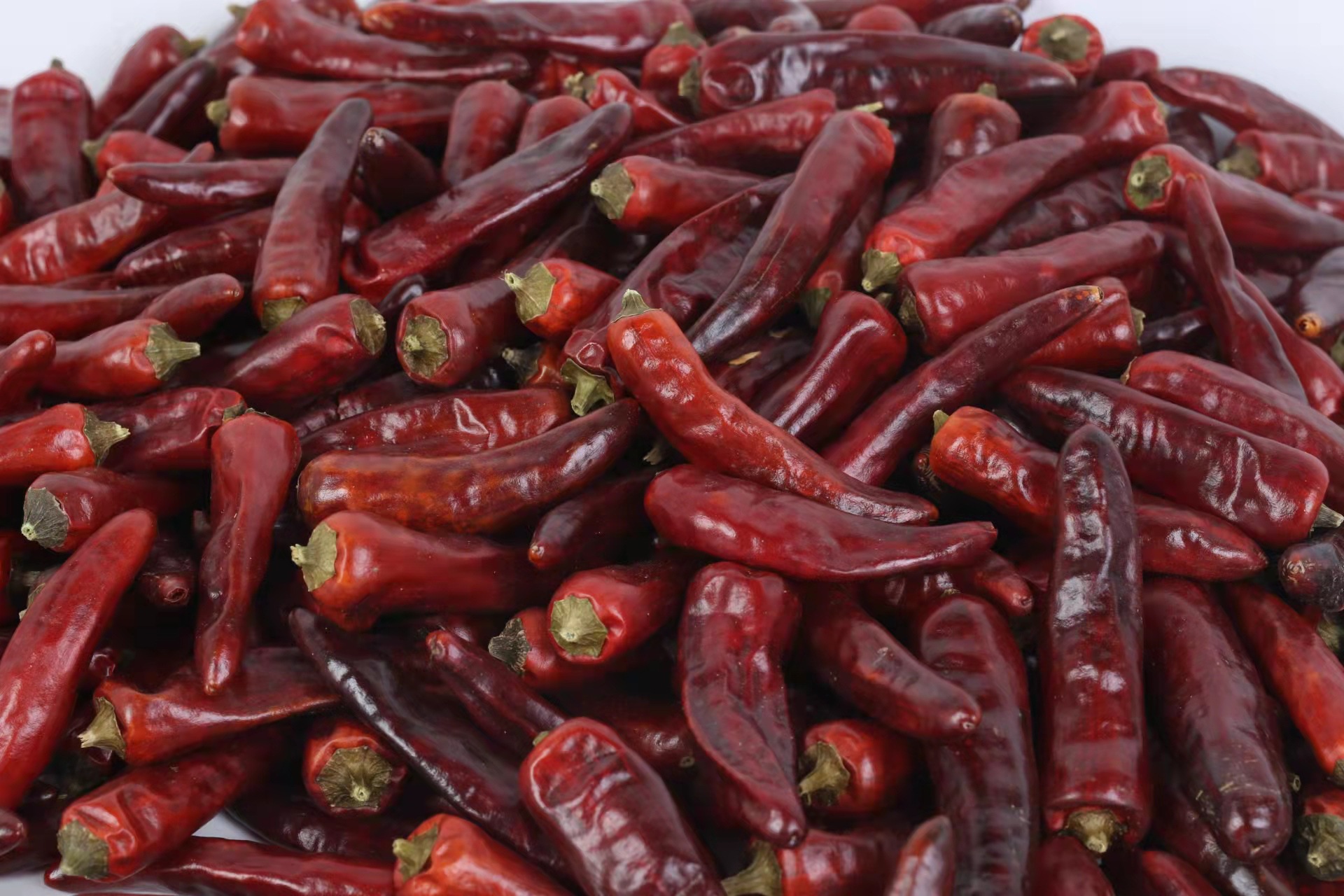 重庆直发石柱红3号重庆红辣椒火锅底料增辣干辣椒批发1份500g