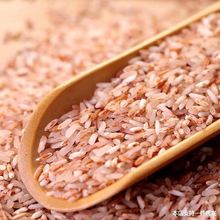 云南梯田红米红软米农家自种食用大米五谷杂粮红大米香米梯田红米