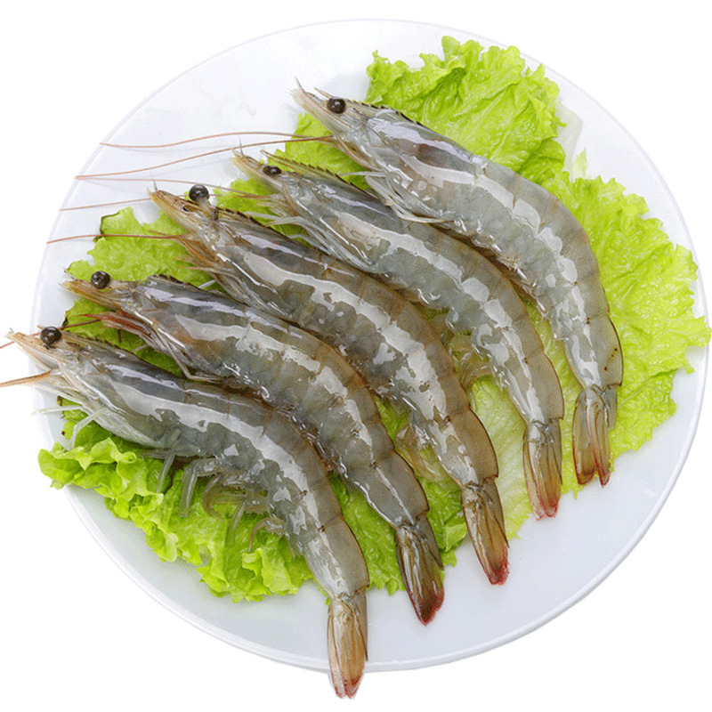 青岛大虾鲜活超大特大海鲜水产青虾冷冻海虾基围虾鲜虾 买4斤包邮