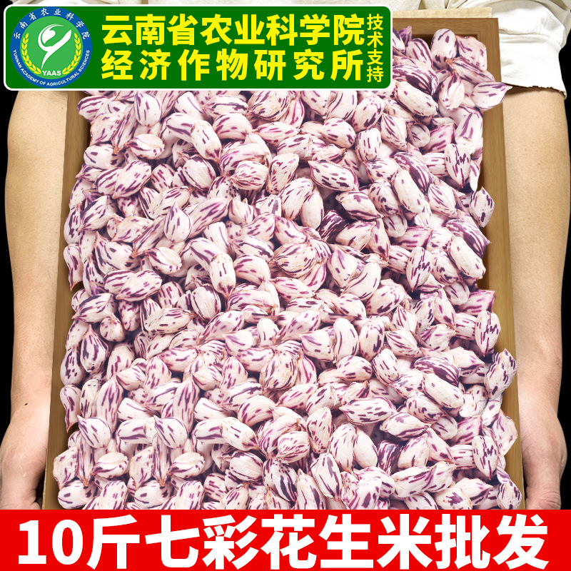 七彩花生米去壳生的云南普洱特产新鲜晒干五彩牛奶七彩花生米批发