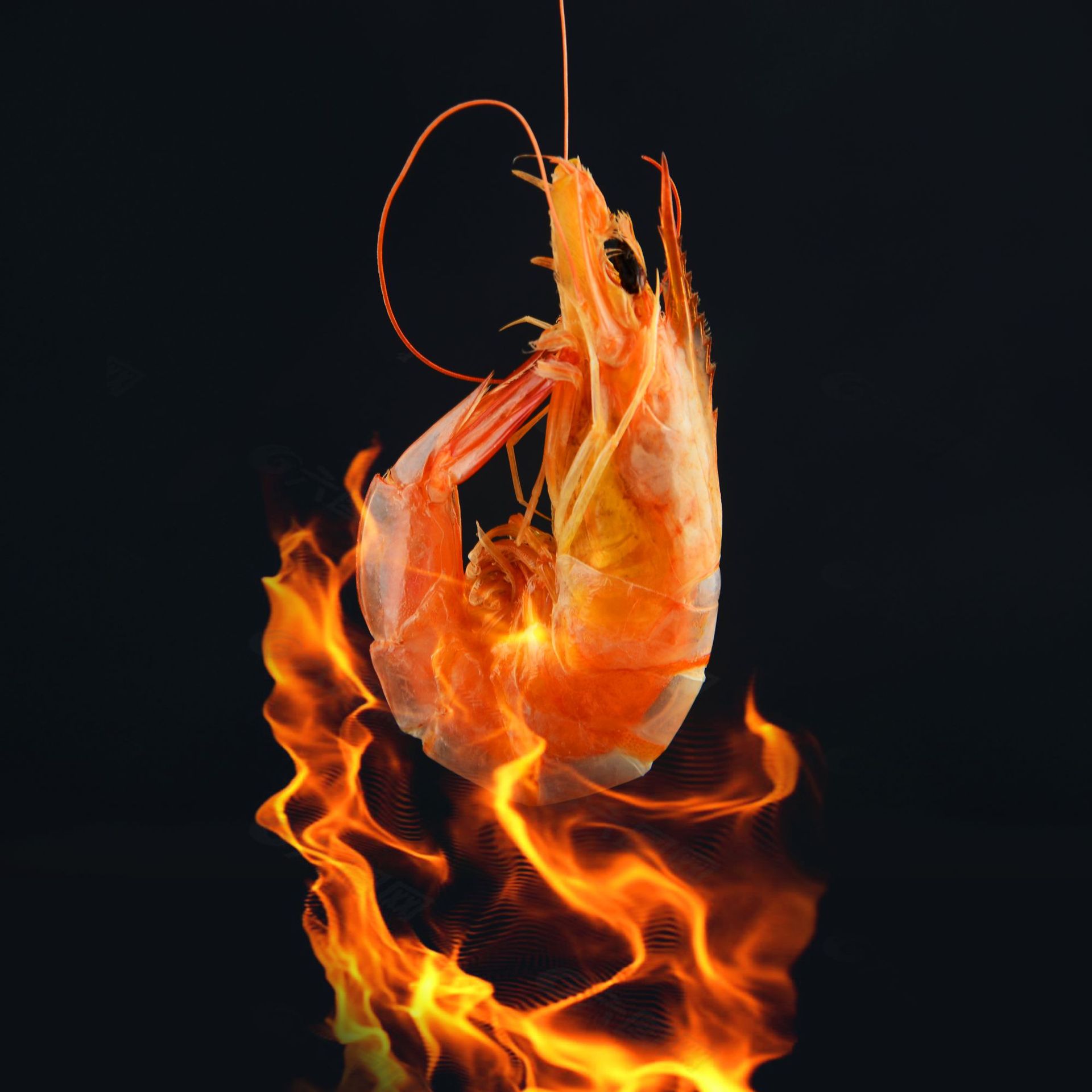 电商爆款即食烤虾干支持代发80g南美白对虾斑节虾九节虾源头厂家