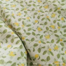 水果枇杷草莓菠萝香蕉印花全棉面料婴幼儿抱被睡袋罩衣汗蒸服布料