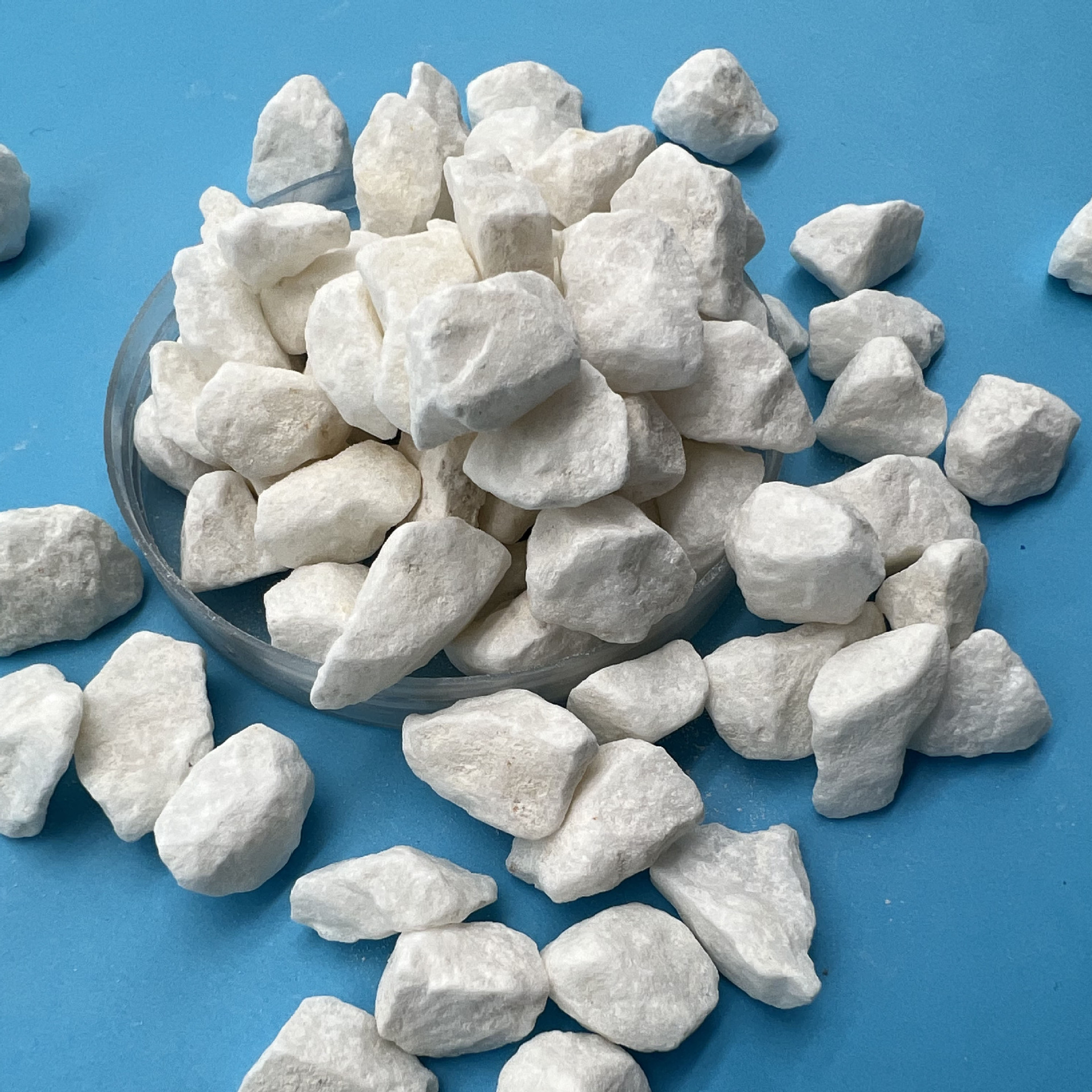 白色洗米石 水洗石子 机制水磨石子 日式枯山水造景 墙面用小石米