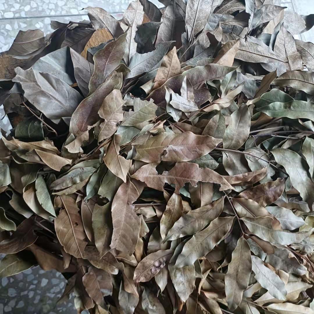 玉林特产大茶叶大叶茶广西六万山甜茶山茶甘甜可口消暑花草茶半斤
