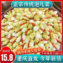 泡儿菜四川泡菜新鲜老坛红心白萝卜装传统泡菜儿菜酸甜店