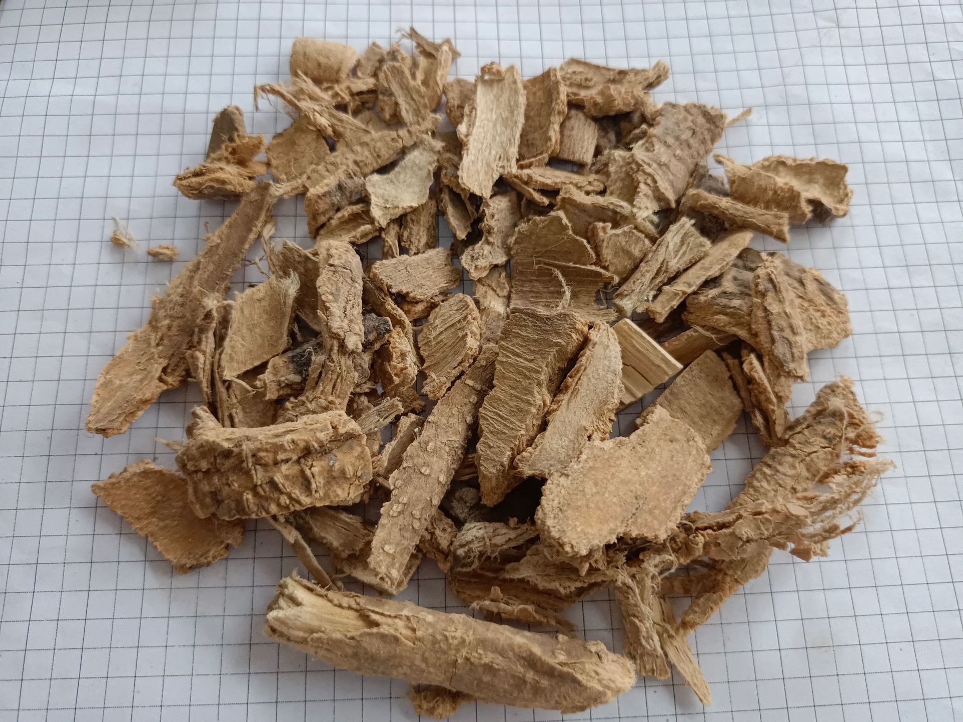 椿根皮chungenpi产地河南宁陵县14元每公斤包邮臭椿椿根皮樗白皮