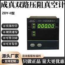 成真粗、低真空测量仪器成都正华ZDY-II-型双路压阻真空计变送器