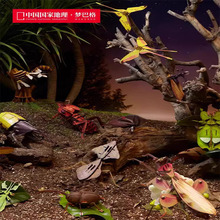 梦巴格3D立体纸拼图益智模型拼插装玩具自然科普手工多款动物昆虫
